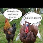 Profile Picture of Jesse Salinas (@jesse.salinas.9480111) on Instagram