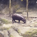 Profile Picture of Shawn Liu (@mrshawnliu) on Instagram