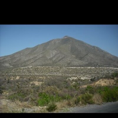 Profile Picture of Alex Cavazos (@alexcavazos2020) on Twitter
