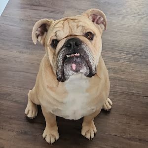 Profile Picture of Bruce (@rhettbrooks7) on Tiktok