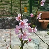 Profile Picture of Zahra Kharrati (@zahra-kharrati) on Quora