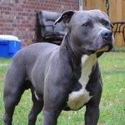 Profile Picture of William Cilio (@william.cilio.5) on Facebook