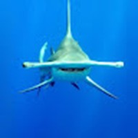 Profile Picture of Zachary Orth (@zachary-orth-4) on Quora