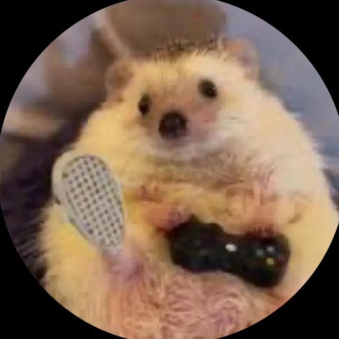Profile Picture of dogouer (@dogouer) on Tiktok