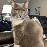 Profile Picture of Donna Randolph Howard (@donnarandolphhoward) on Instagram