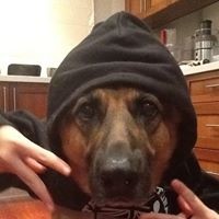 Profile Picture of Nathan Rosas (@nathan-rosas-5) on Quora