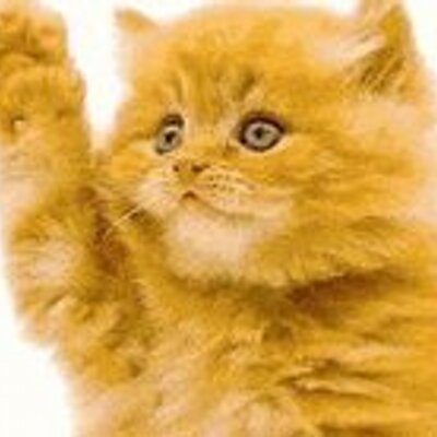 Profile Picture of Adrian Graves (@adriangraves10) on Twitter