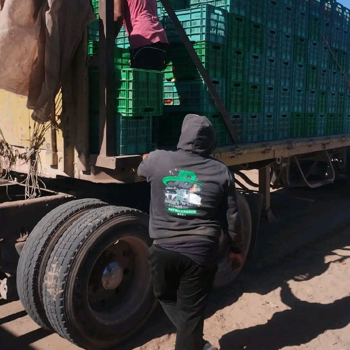 Profile Picture of julian (@julian_alber) on Tiktok