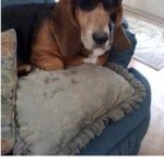 Profile Picture of Gerald Haskins (@haskins0612) on Instagram