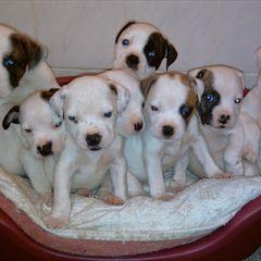 Profile Picture of Gill Handley (@e4c015272025484) on Twitter