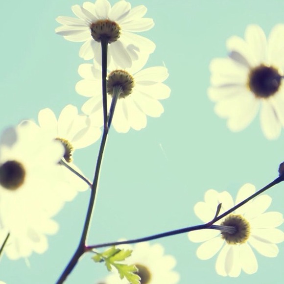 Profile Picture of Jessica Lafranca-peterson (@jlapete) on Poshmark