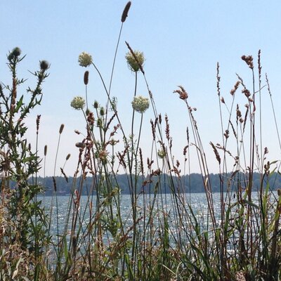 Profile Picture of Dr. Chris Irene (@HealthguideDr) on Twitter