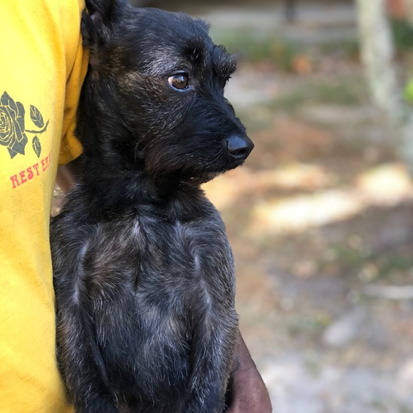 Profile Picture of Robert Ross (@robross98) on Poshmark