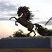 Profile Picture of Laura Ruggless (@lariggs2004) on Pinterest