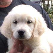 Profile Picture of Robin Clark (@robinclark-b4w) on Youtube