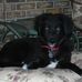 Profile Picture of Nancy Corless Zafoot (@nancy.corlesszafoot) on Facebook