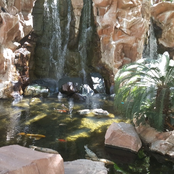 Profile Picture of Lorenza Ruby (@lruby7) on Poshmark