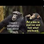 Profile Picture of Steph curry (@jessiekent4356) on Instagram