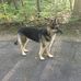 Profile Picture of David Majewski (@david.majewski.376) on Facebook