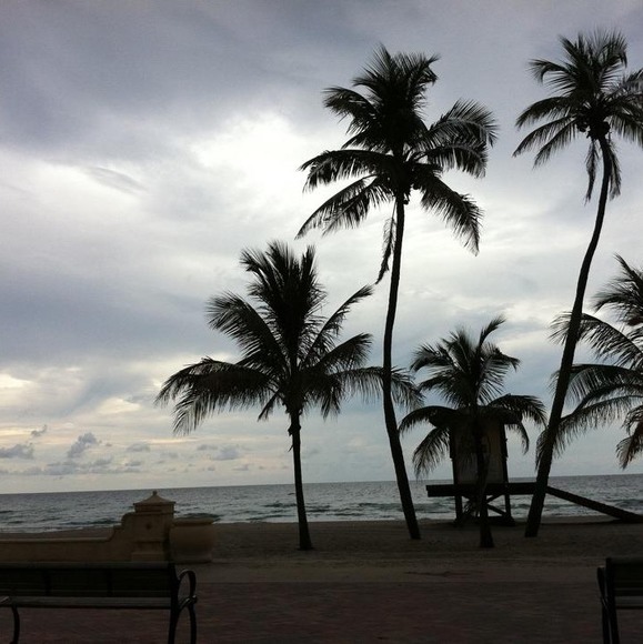 Profile Picture of Lisa Verrilli (@lisaverrilli) on Poshmark