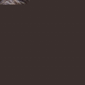 Profile Picture of Daniel Purreti (@dilbertaids) on Myspace