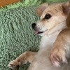 Profile Picture of WADE (@@rikuyawade) on Tiktok