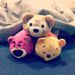 Profile Picture of Bertram Tseng (@rexreon) on Pinterest