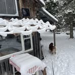 Profile Picture of Gayle Hollister Martin (@gaylehm) on Facebook