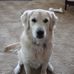 Profile Picture of John Dyke (@john.dyke.944) on Facebook
