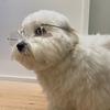 Profile Picture of bradyballs (@bradyballsss) on Tiktok