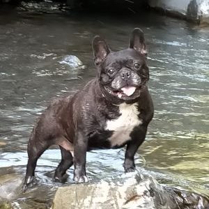 Profile Picture of Manuel Ángel Tabarez Vasquez (@tabarez_angel) on Twitter