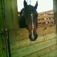 Profile Picture of Julia Dings (@julia-dings) on Quora