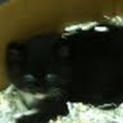 Profile Picture of Beverly Murphy (@beverlymurphy9782) on Youtube