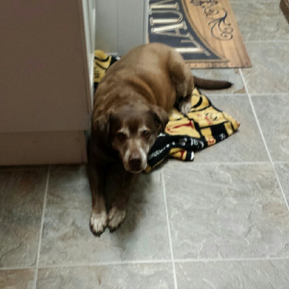 Profile Picture of Charla Lovelace (@cjlovelace) on Poshmark