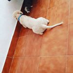 Profile Picture of minda Sánchez 😍 (@soyminda.sanchez) on Instagram