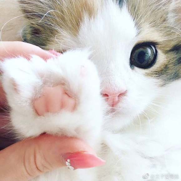 Bella Liu - Poshmark Profile Picture of Bella Liu (@b_liu) on Poshmark