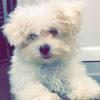 Profile Picture of barycoy (@@therealruvsecretaccount) on Tiktok