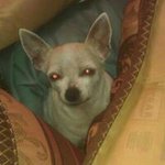 Profile Picture of Nancy Quinn (@nancy.quinn.589) on Instagram
