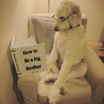 Profile Picture of Buddy Holt (@buddy.holt) on Instagram