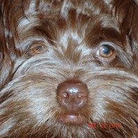 Steve Calabro - Quora Profile Picture of Steve Calabro (@steve-calabro-1) on Quora