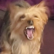 Profile Picture of Nathan Sizemore (@crisjudigo) on Youtube