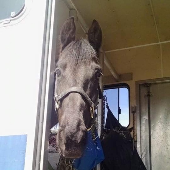 Lora Parlier - Poshmark Profile Picture of Lora Parlier (@lwd2006) on Poshmark