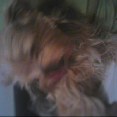 Profile Picture of Gabriel Lemoine (@d82ca080db9c454) on Twitter