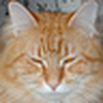 Profile Picture of Billie Renee  Knight (@knightdrk2) on Flickr