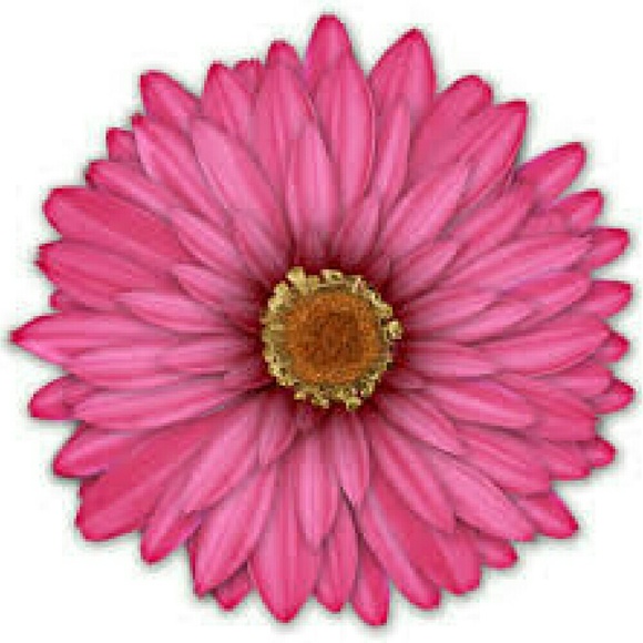 Profile Picture of Miriam Jauregui (@miriamjauregui) on Poshmark