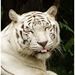 Profile Picture of Brian Patnaude (@abnpatnaude) on Pinterest