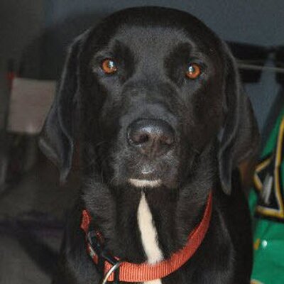 Profile Picture of Wayne R. Wise (@wisew) on Twitter