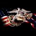Profile Picture of scott Heilman (@ttocsit369) on Pinterest