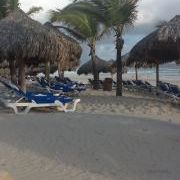 Toni Pruitt - Pinterest Profile Picture of Toni Pruitt (@pfarms) on Pinterest