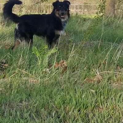 Profile Picture of Thomas Baughman (@ThomasBaughma11) on Twitter